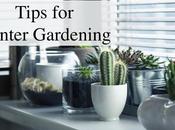 Tips Winter Gardening