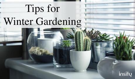 Tips for winter gardening