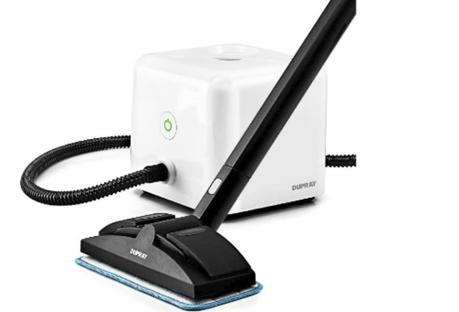 The Best Steam Cleaners for 2021
