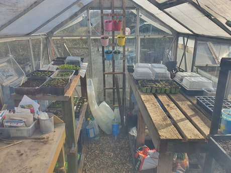 Day 58 - Windy Allotment, little wind in our sails.