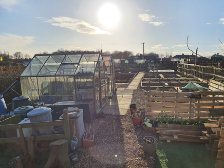 Day 58 - Windy Allotment, little wind in our sails.