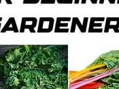 Best Plants Beginner Gardeners