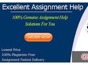 Meet Most Affordable Cheap Assignment Writing Services That Ready Help With Students' Assignments