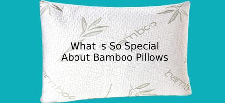 What is So Special About Bamboo Pillows?
