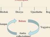 Chikitsa Chatushpada