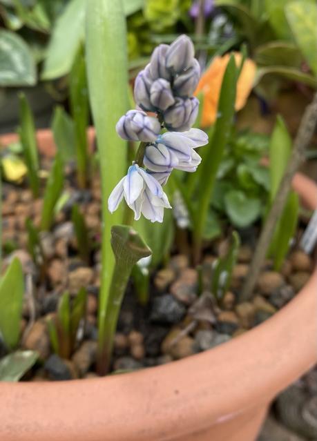 Six on Saturday 27/03/2021