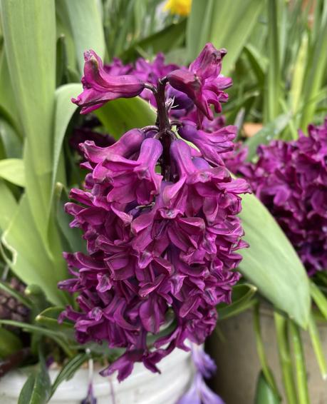 Six on Saturday 27/03/2021