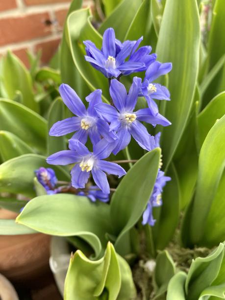 Six on Saturday 27/03/2021