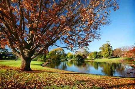 Book online, pay at the hotel. A local's guide: everything to see, eat and do in Toowoomba