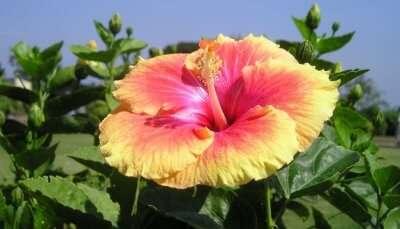 13 Picnic Spots Near Nagpur For A Soothing Escape In 2021