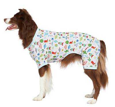 Disney dog products: The best of the NEW Disney Collection at Chewy