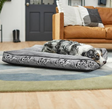 Disney Pluto Pillow Cat & Dog Bed