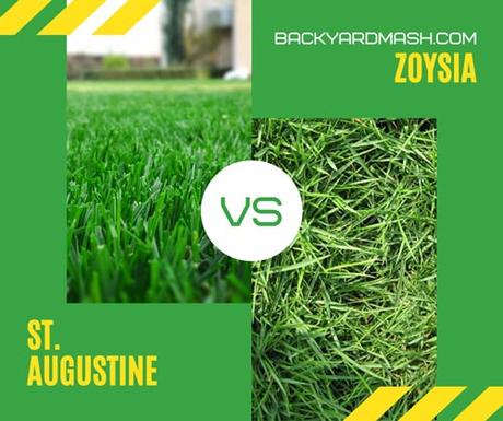 St. Augustine Grass vs. Zoysia Which one is Right for My Lawn?