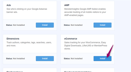 install monsterinsights ecommerce addon