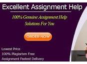 Looking Best Custom Essay Writing Service? Congratulations You’ve Finally Right Place