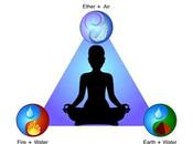Tridosha Distribution
