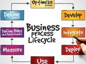 What Business Process Management (BPM) Lifecycle?