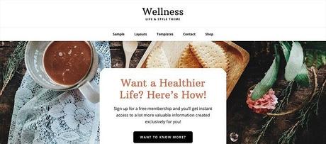 7 Best Genesis Food Themes 2021 (For Blogs, Recipes, Restaurants) wellness pro
