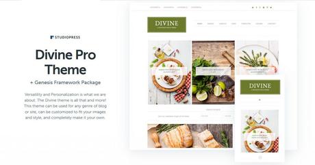 7 Best Genesis Food Themes 2021 (For Blogs, Recipes, Restaurants) divine pro