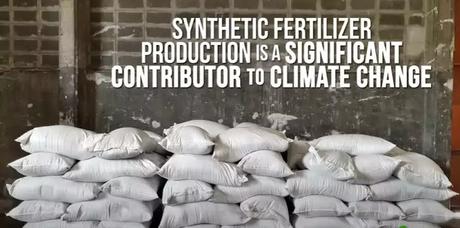 Plants That Fertilize Themselves_1 Plants That Fertilize Themselves_1