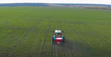 Plants That Fertilize Themselves Plants That Fertilize Themselves