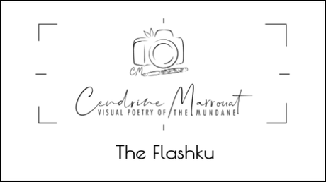 My new multimedia genre: The Flashku