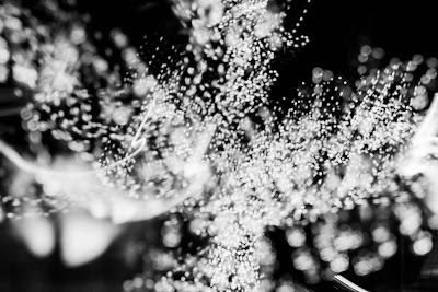 Which is most like you current state of consciousness?