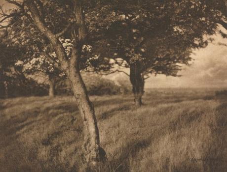 Early photography: Camera Work: Beyond – Alfred Horsley Hinton