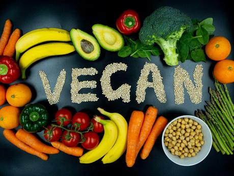 VEGAN DIET VEGAN DIET