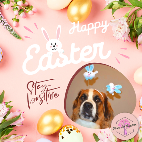 Happy Easter from Paws For Reaction