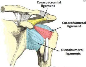 Shoulder Popping with No Pain: Know When To Be Concerned