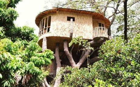 Treehouse Resorts Near Delhi For A Hushed Stay In The Hills