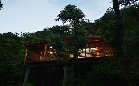 Treehouse Resorts Near Delhi For A Hushed Stay In The Hills