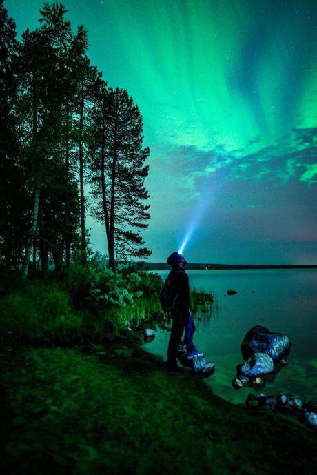 Treehouse Resorts Near Delhi For A Hushed Stay In The Hills