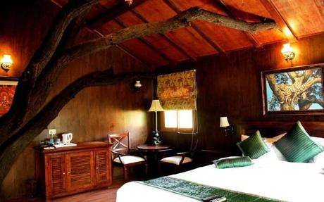 Treehouse Resorts Near Delhi For A Hushed Stay In The Hills