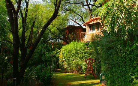 Treehouse Resorts Near Delhi For A Hushed Stay In The Hills