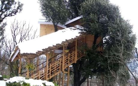 Treehouse Resorts Near Delhi For A Hushed Stay In The Hills