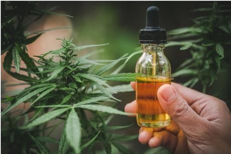 Can You Travel with CBD Oil? Products Worth Considering