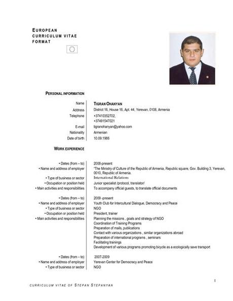 The personal statement / profile. Europass Cv English Example Doc Cv Examples Europass ...