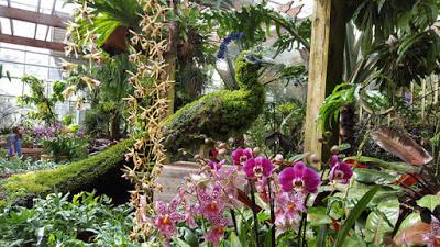 IMAGINARY WORLDS at the Atlanta Botanical Garden by Caroline Arnold at The Intrepid Tourist