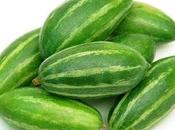 Pointed Gourd Parwal