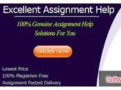 Delivering Best Software Engineering Assignment Writing Services Customers Each Time Getting Order