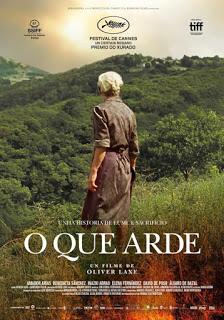 262. Spanish film director Oliver Laxe’s film “O Que Arde” (Fire Will Come) (2019), based on the original co-scripted screenplay of Santiago Fillol and the film’s director Laxe: Unusual film with very few spoken lines preferring instead to communicate ...
