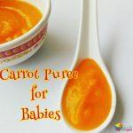 Carrot Puree for Babies