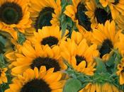 Make This Mother’s Safe Memorable