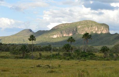 Chapada Dos Veadeiros National Park: Brazil’s Wildlife Glory