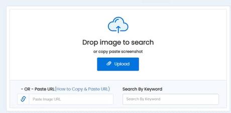 find your twin find your twin