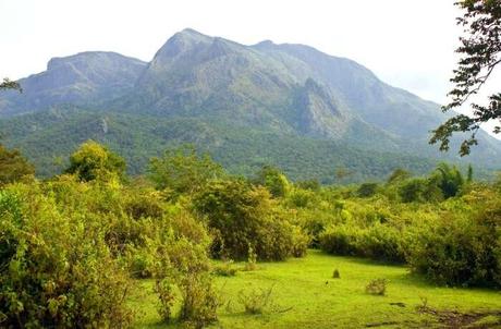All About Mudumalai National Park, The Pride Of The Nilgiris