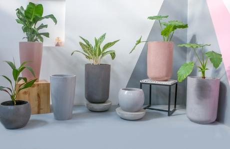 Concrete in Home Decor: of Colour, Creativity and Character