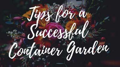 Tips for a Successful Container Garden – A Secret Guide